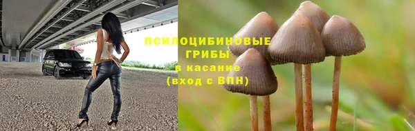 скорость Алзамай