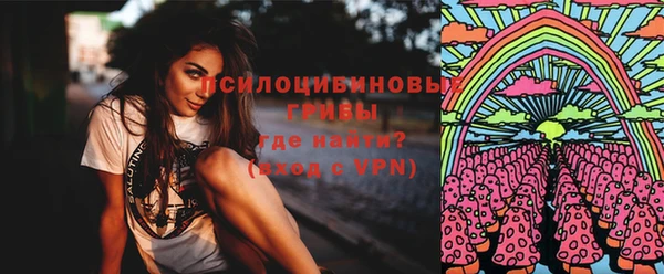 a pvp Алексин